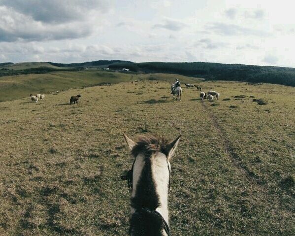 Passeio a cavalo, Fazenda em Cambará do Sul