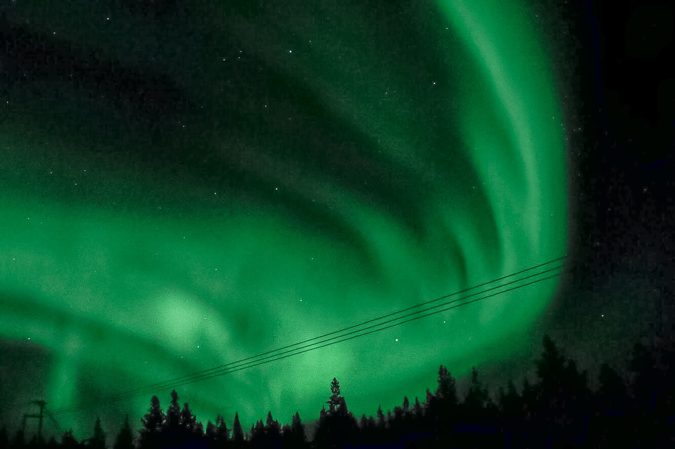 Aurora Boreal em céu estrelado com árvores em Ivalo, Finlândia