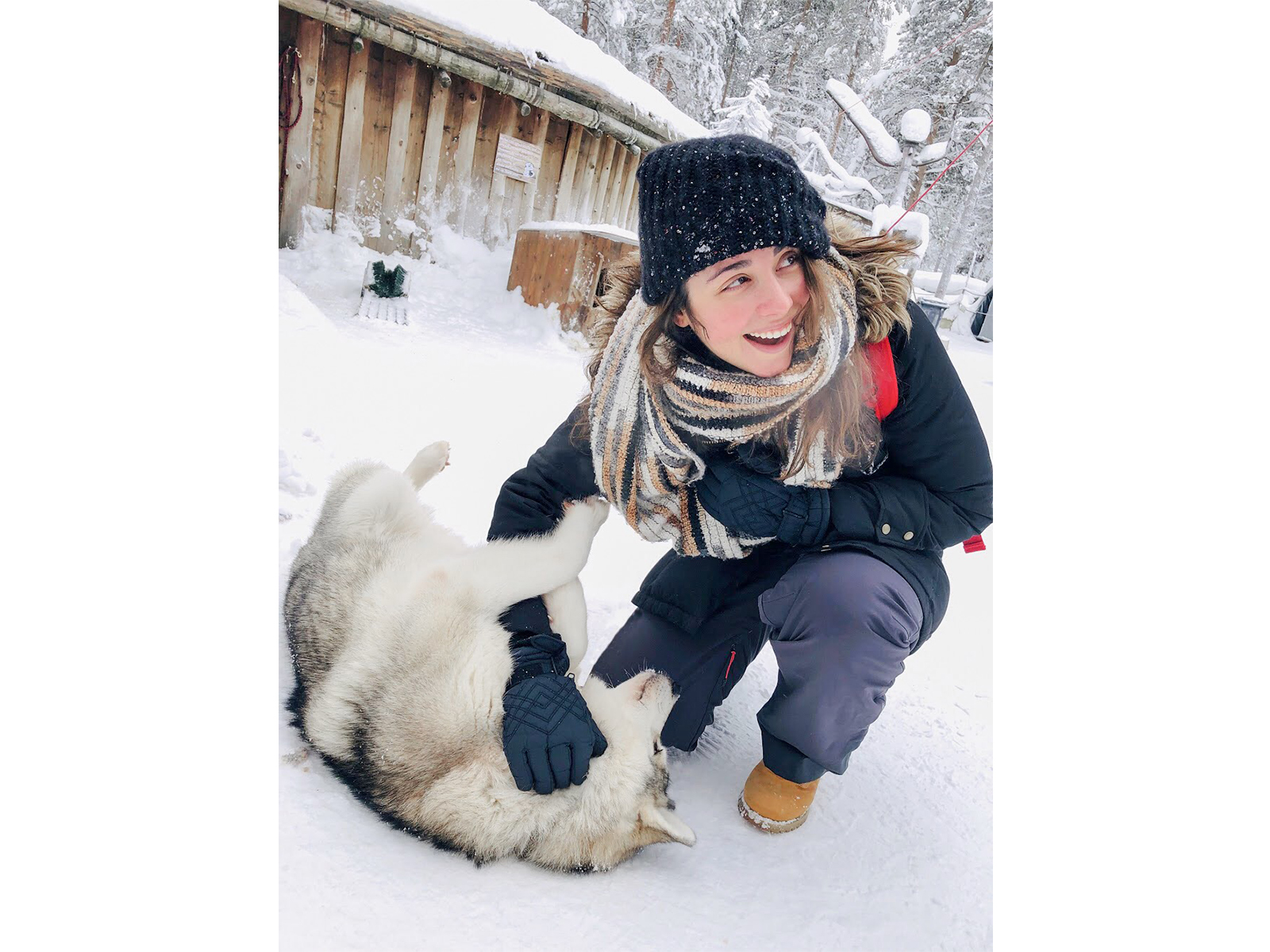 mulher brinca com Husky siberiano na Santa Claus Village em Rovaniemi no inverno